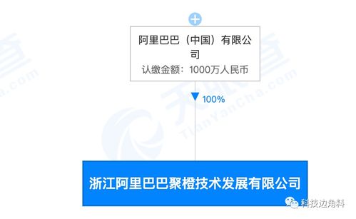 阿里巴巴成立聚橙技術，千萬元加碼信息系統(tǒng)集成服務